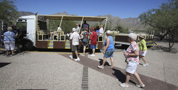 Sabino Canyon